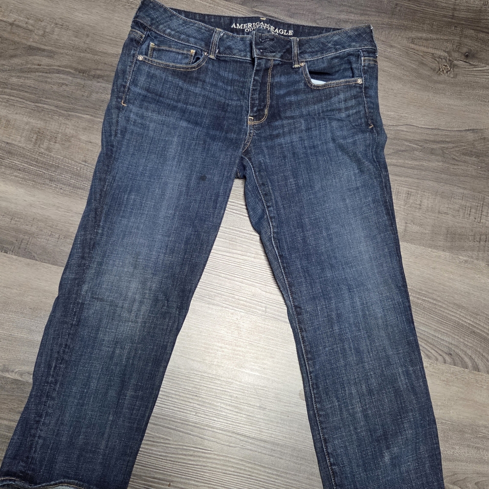 Brand NEW NEVER WORN American Eagle Outfitters Women's ARTIST CROP Jeans*makeoff